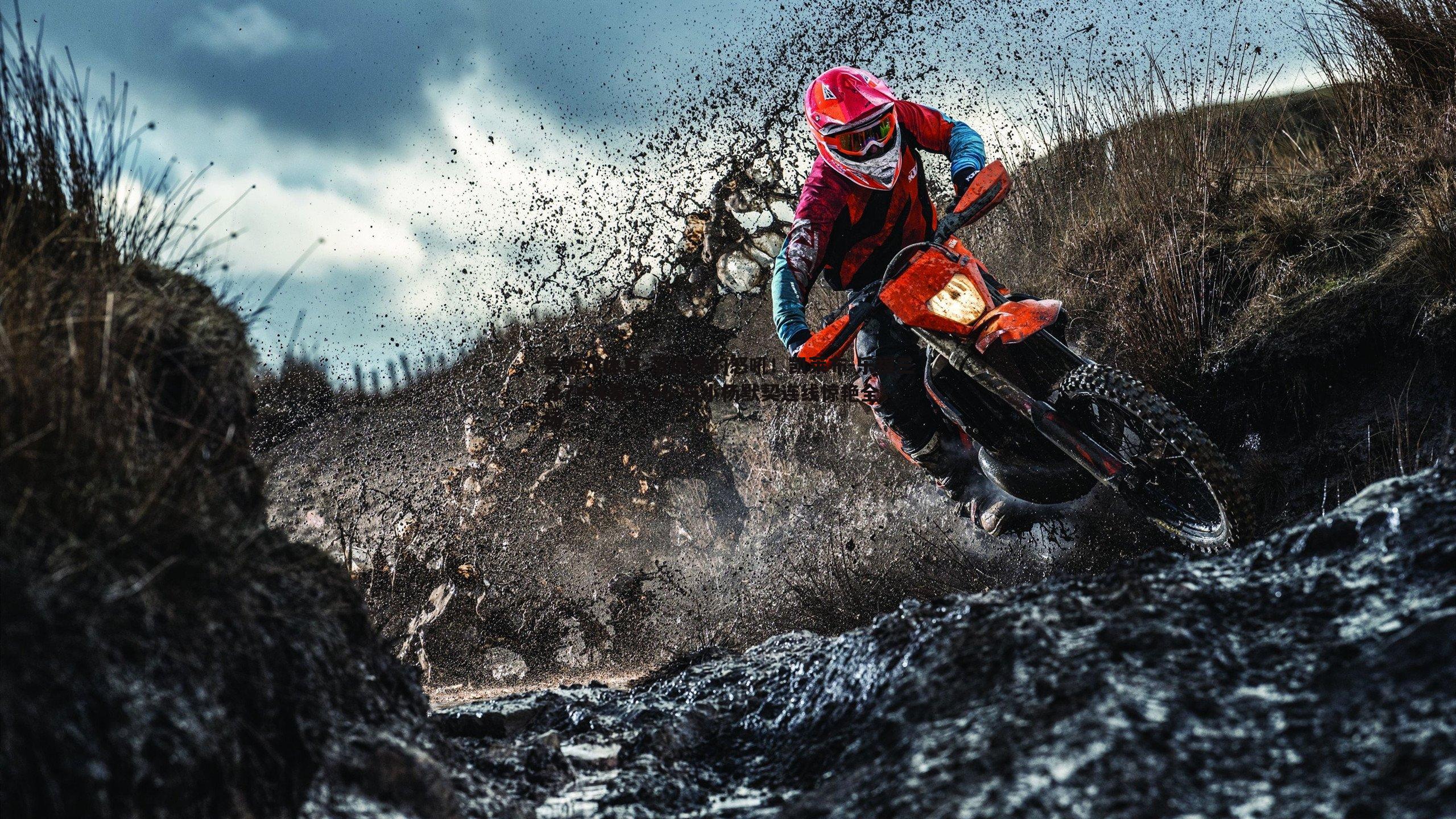 落选秀的怒吼!凯莱布-乐福三分7中4轰18+6 与小杨默契连线惊艳全场